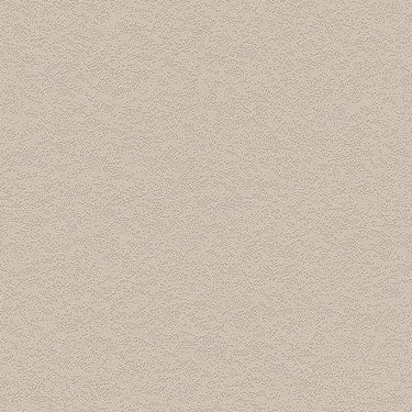 Cashmere Stucco