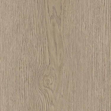 Dyed Oak